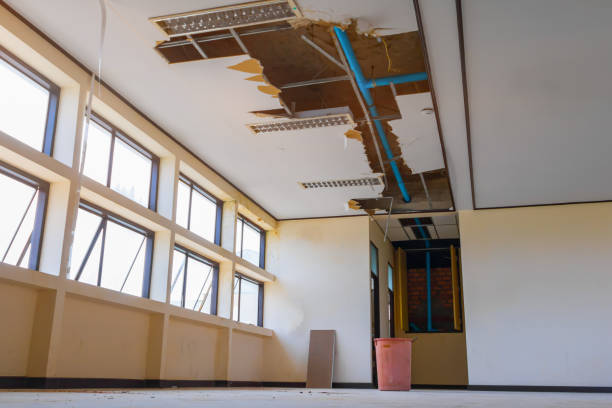 Best Fire Damage Restoration  in Chatsworth, GA