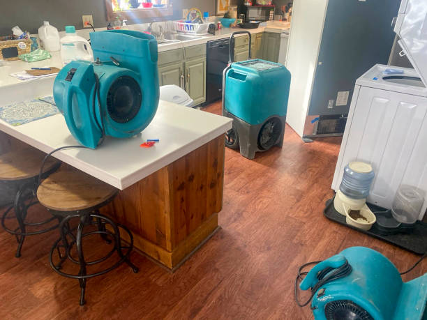 Best Flood damage cleanup  in Chatsworth, GA