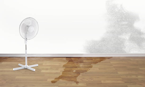 Best Water damage restoration near me  in Chatsworth, GA