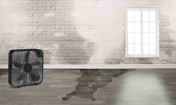 Best Water damage restoration near me  in Chatsworth, GA