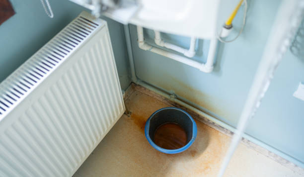 Best Mold removal after water damage  in Chatsworth, GA
